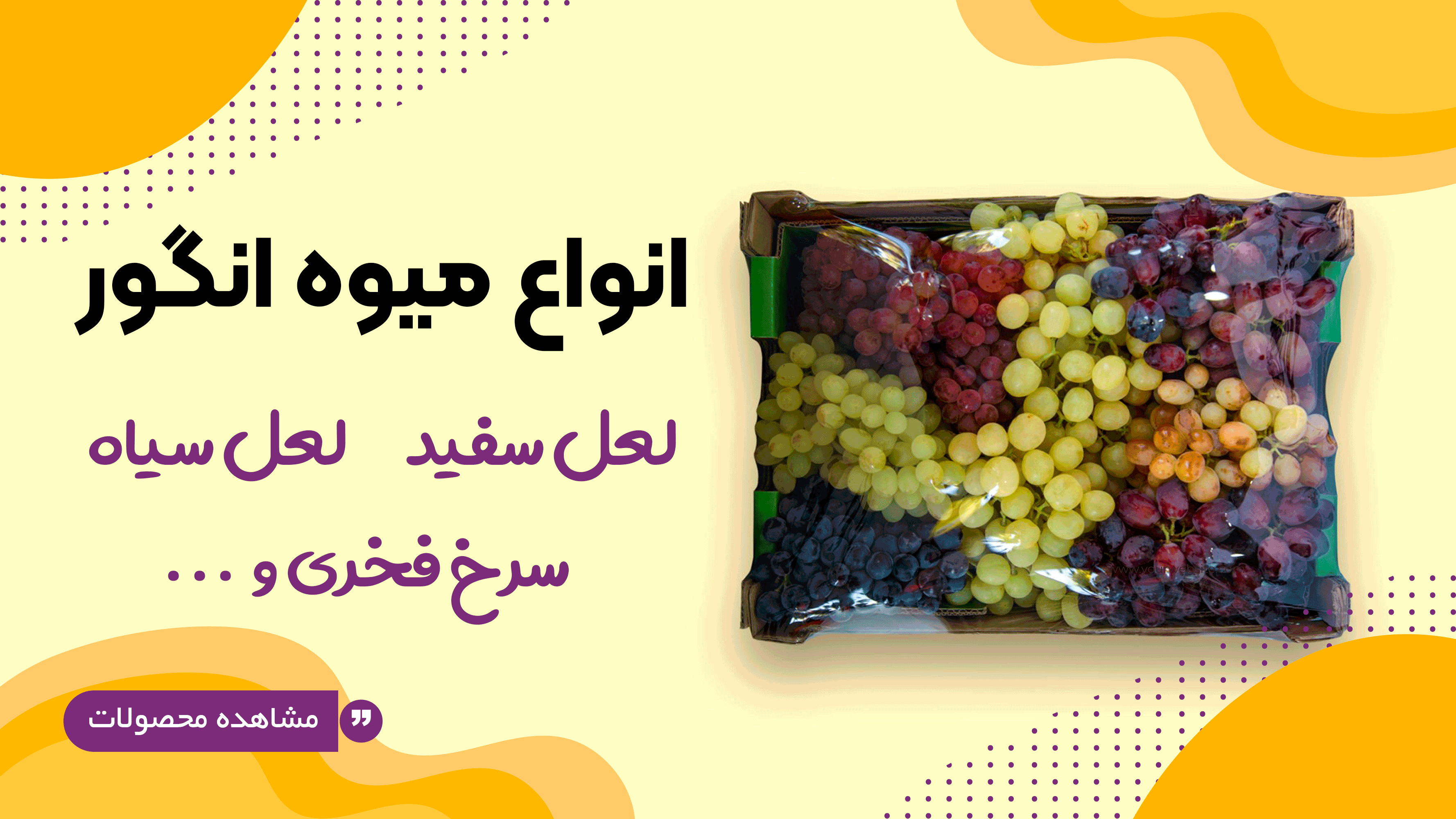 بنر انواع میوه min