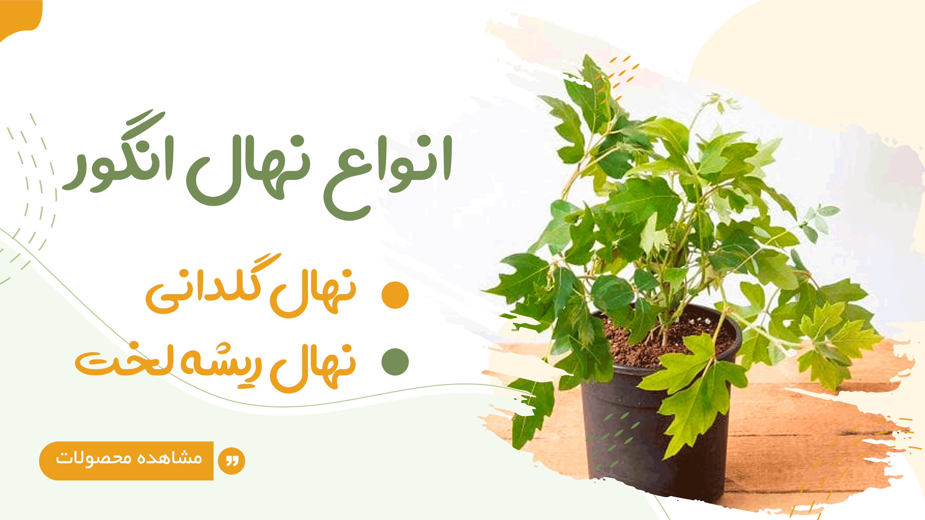 بنر انواع نهال min